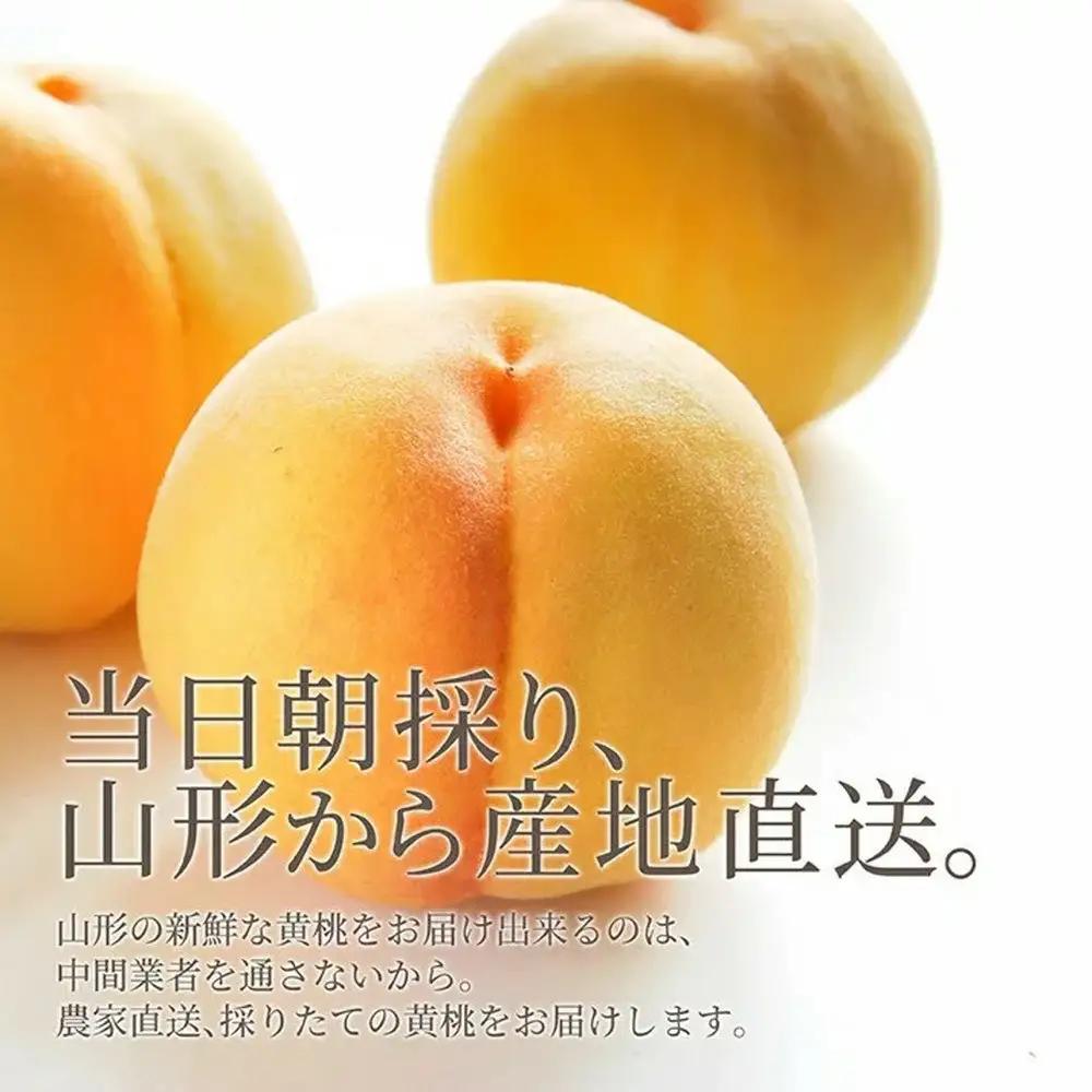 もも きららの極み 3kg フルーツ 果物 山形 黄桃 モモ