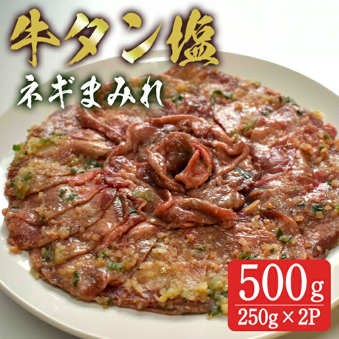 【ふるさと納税】牛タン塩 ネギまみれ 500g(250g×2p) 牛タン タン 牛たん 牛肉 肉 食品 冷凍保存 焼肉 BBQ バーベキュー 焼き肉 小分け 【有限会社ちば食品】 tm377