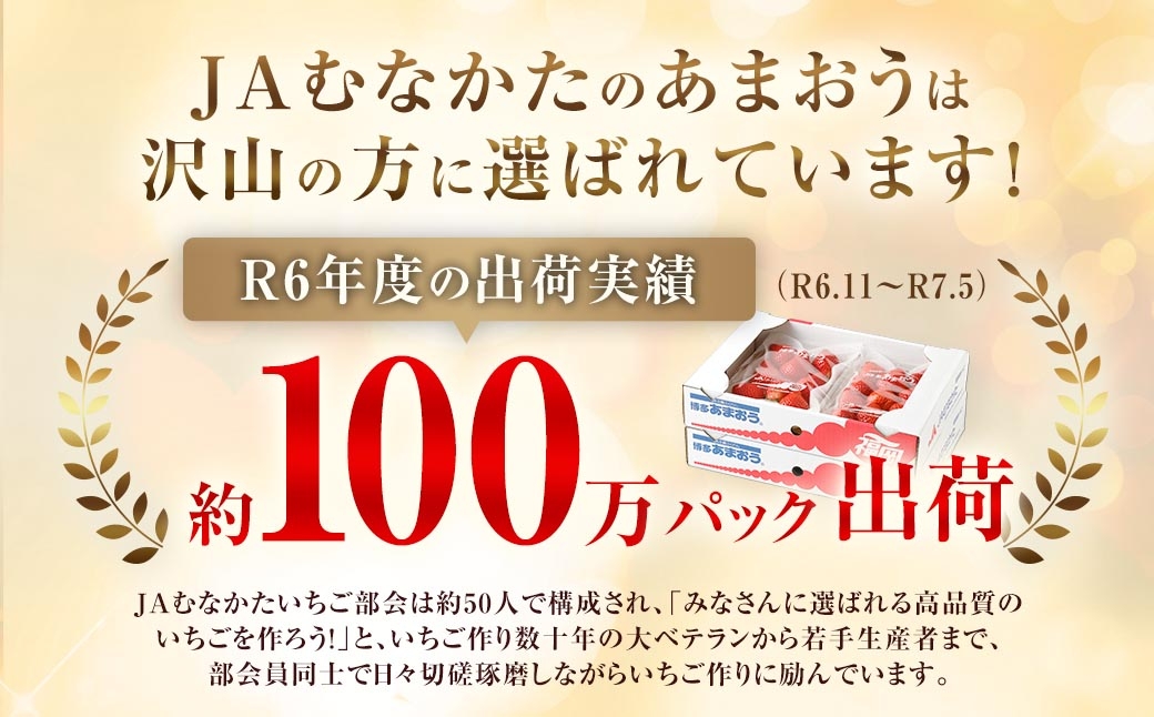 【3回定期便】博多あまおう2パック