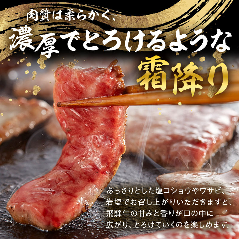 【7営業日以内発送】 飛騨牛 焼肉用（ロース700g）【0016-049】_イメージ2