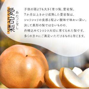 【きよとうファーム】あたご梨＆ル・レクチェ 上級品/5-7玉入(岡山県産)【1606507】