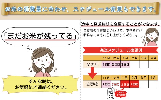 ＜令和6年産米＞ 令和7年4月上旬より配送開始 はえぬき【無洗米】30kg定期便 (10kg×3回)　大蔵村