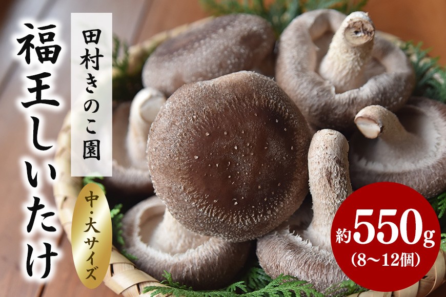 
                  【先行販売/2026年10月末以降発送】福王しいたけ 中～大サイズ 約550g しいたけ 椎茸 きのこ キノコ 国産
                