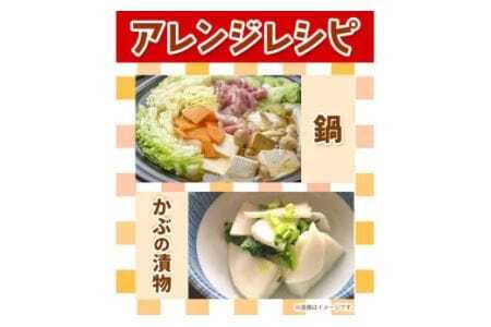 ＜先行予約＞ 旬の新鮮な野菜便 12月冬便 8～10品 野菜