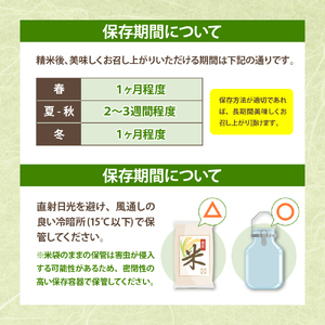 【令和6年産米 先行予約】☆2025年4月後半発送☆ 雪若丸 5kg（5kg×1袋）山形県 東根市産　hi003-118-043　米 2024年 2025年山形 送料無料 東北 白米 精米 お米 こめ