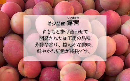 梅農園ジャム 100g×6個  | 梅ジャム 無添加 相馬アグリ