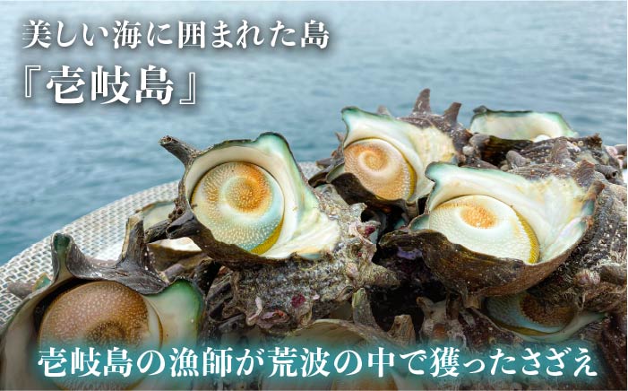 【全6回定期便】壱岐産さざえうに 50g×2本セット [JAO040]   100000 100000円 10万円