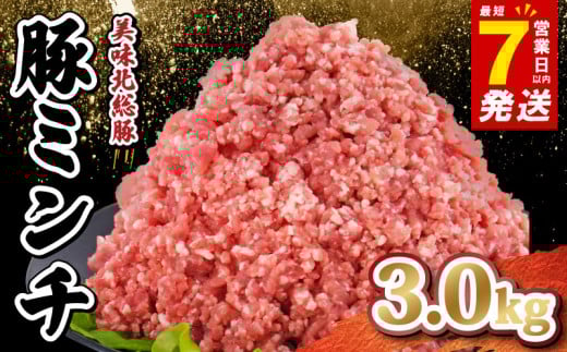 ＼最短7営業日以内発送／ 豚ミンチ 3.0kg ( 500g×6パック ) 千葉県 産 銘柄 美味北総豚 豚ひき肉 挽肉 国産 豚肉 500g 合計 3kg 銘柄豚 いも豚 小分け 真空パック 冷凍 ハンバーグ 餃子 そぼろ 麻婆豆腐 家庭用 調理 送料無料 千葉県 旭市 産地直送 旭食肉協同組合 ask015