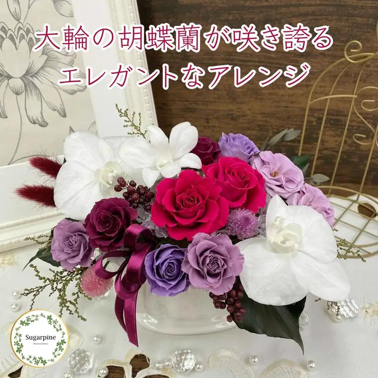 シュガーパイン プリザーブドフラワー（ルクール/ディープルビー）【埼玉県 春日部市 洋蘭 高級ギフト 室内観賞 記念祝い 長期保存】 （AJ206-1）