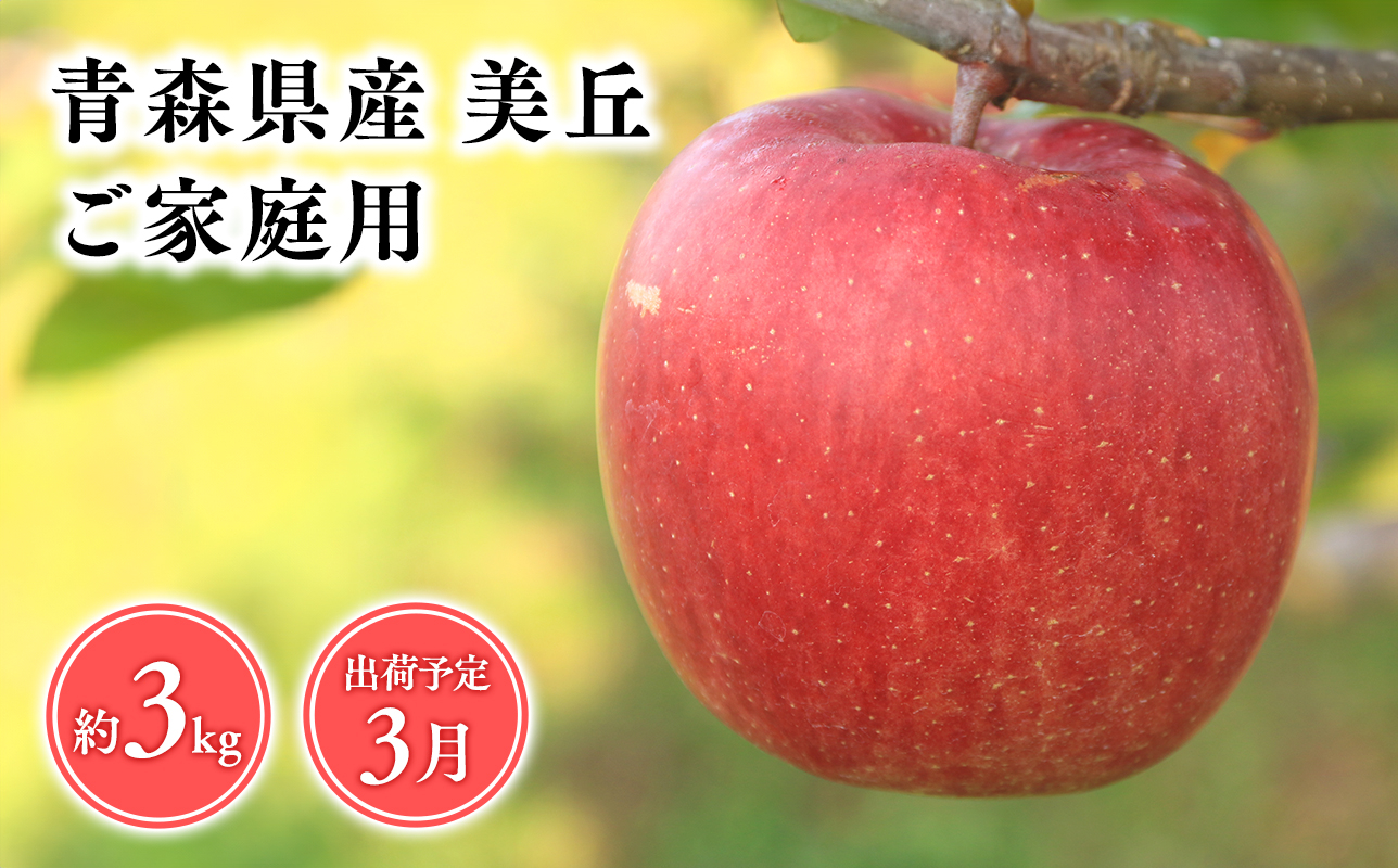 
            2025年3～5月発送　【訳あり】家庭用美丘3ｋｇ　【そと川りんご園・青森県産・平川市・りんご・美丘・3ｋｇ・訳あり・家庭用】
          