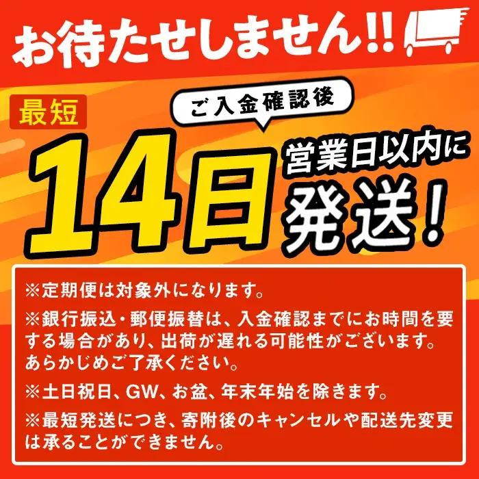 【14営業日以内に発送予定】≪令和7年産≫ コシヒカリ 10kg (5kg×2袋) 登米市産 お米 おこめ 米 コメ こしひかり 白米 ご飯 ごはん おにぎり お弁当 【登米ライスサービス株式会社】t