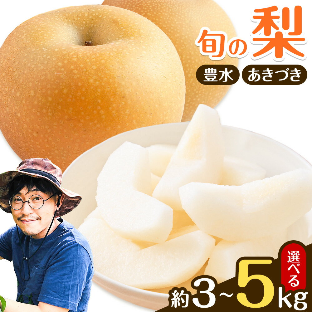 【ふるさと納税】【2026年 先行予約】梨 旬の梨 あきづき 豊水 のいずれか 荒尾梨 和梨 3kg (4-8玉前後) または 5kg (6-14玉前後) 高口果樹園《2026年9月上旬-9月下旬頃出荷》熊本県 荒尾市 豊水 あきづき 熊本県産 梨 なし 果物 くだもの 秋 旬