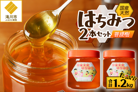 【北海道滝川産】高見養蜂場の純粋はちみつ(菩提樹、シナの木600g×2本)｜国産 日本製 天然 無添加 純粋 非加熱 生はちみつ ミツバチ ハニー 栄養 健康 美容 ビタミン ミネラル 抗生物質 プロポリス アミノ酸 濃厚 ギフト 贈答