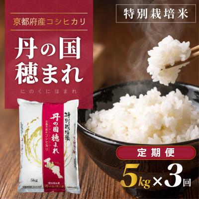 ふるさと納税 舞鶴市 【毎月定期便】京都府産　特別栽培米コシヒカリ「丹の国穂まれ」5kg 全3回