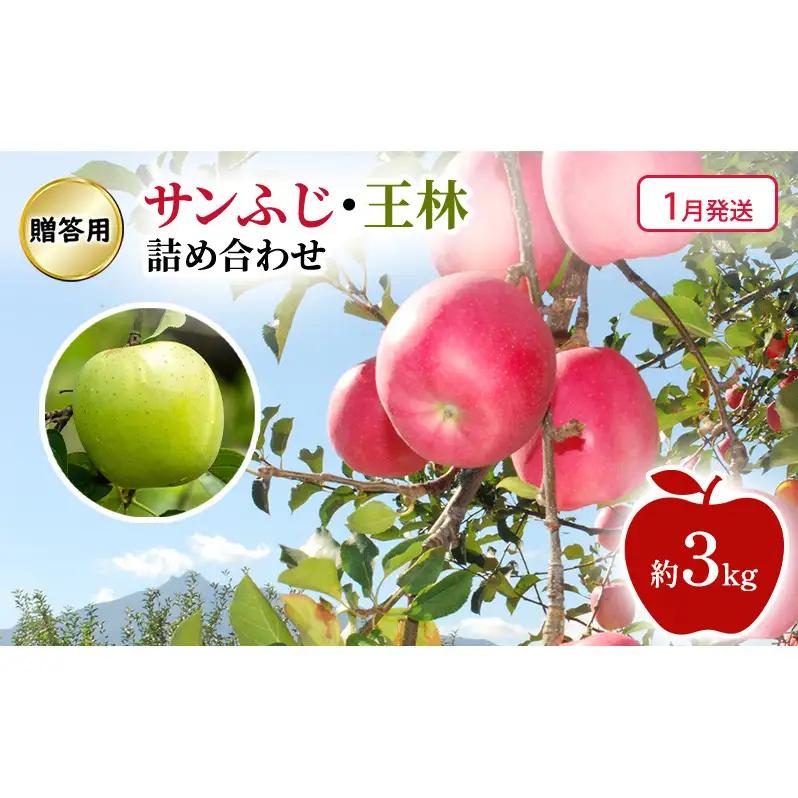 りんご詰合せ サンふじ王林贈答用 青森県産 りんご詰合せ【約3kg】【1月発送】
