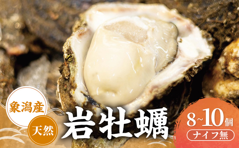 象潟産 天然岩牡蠣 8～10個 ナイフ無【牡蠣 夏牡蠣 かき 象潟 生食可 魚介類 海鮮　海産物 海の幸】　秋田商店