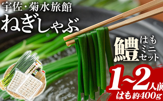 ねぎしゃぶ(鱧はも)ミニセット(5品)ねぎしゃぶ しゃぶしゃぶ 鱧 はも 鍋 お鍋 セット【101500102】【菊水旅館】