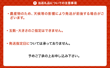 璃の香（りのか） 約3kg 10～15玉 【吉田レモニー】【2024年8月下旬～2025年1月下旬発送】檸檬 レモン れもん