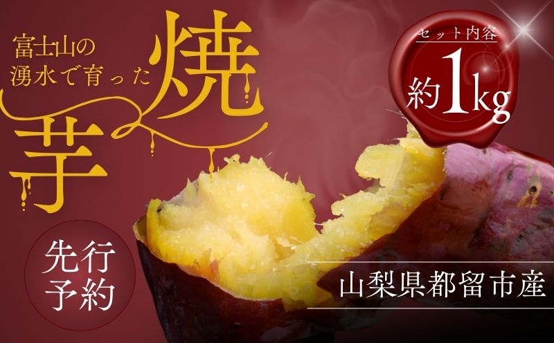 【先行予約】富士山の湧水で育った焼きいも　:さつまいも サツマイモ プレゼント 贈り物 ギフト  お取り寄せスイーツ スイーツギフト