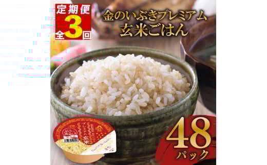 定期便 3回 玄米ごはんパック 120g 48個 玄米 米 お米 ごはん ご飯 こめ パックライス パックご飯 パックごはん ご飯パック ごはんパック パック ライス 備蓄 保存 非常 防災 電子 レンジ 温めるだけ レンチン 簡単 健康 ダイエット 美容 ヘルシー 48 48食 レトルト インスタント おいしい 人気 おすすめ 金のいぶき 大阪府 松原市