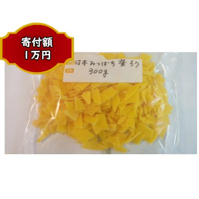 ふるさと納税 多賀城市 日本みつばちの蜜ろう300g(チップ状)