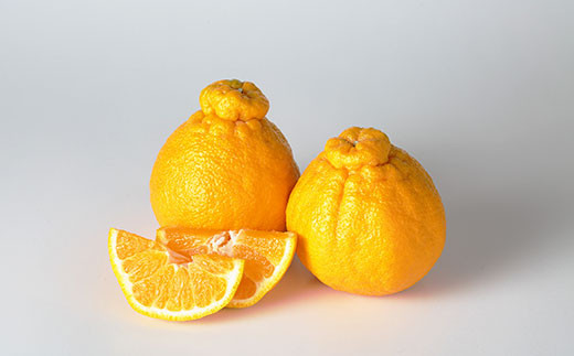 環境マイスターの不知火 良品 5kg （栽培期間中は無肥料・低農薬） 果物 くだもの フルーツ 不知火 しらぬい 柑橘 みかん 【2026年1月上旬～4月下旬迄順次発送予定】