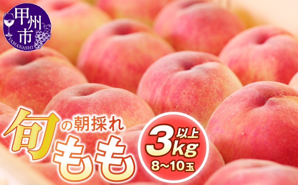 旬の朝採れ特選大玉もも 3.0kg以上（8～10玉）【2025年発送】（HO）B17-411