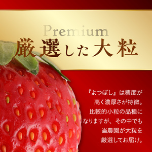 池田農園の完熟よつぼしプレミアムギフト (380g×2パック)　計760g_Fi111