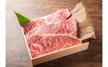 大和牛サーロインステーキ肉（170g×3枚）A5等級 黒毛和牛 F-56