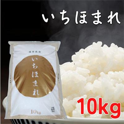 ふるさと納税 若狭町 いちほまれ10キロ(令和7年産)　福井の新ブランド米