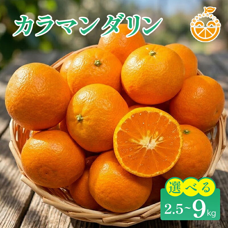 【ふるさと納税】 中島産 カラマンダリン 約2.5kg / 約4.5kg / 約9kg 中島みかんのまこ農園 【2027年3月下旬頃から順次発送】 | みかん ミカン オレンジ おれんじ カラマンダリン 柑橘 みかん 国産 春みかん フルーツ ふるさと納税 産地直送 愛媛 松山