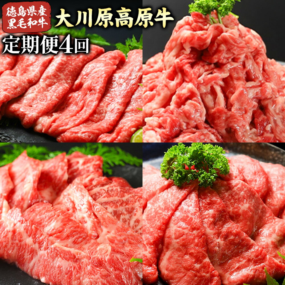 【ふるさと納税】《定期便》全4回お届け！大川原高原牛 (スライス・切り落とし・焼肉・しゃぶしゃぶ ) 株式会社肉の藤原 《お申込み月の翌月から出荷開始》牛肉 定期便 月1回 徳島県 佐那河内村