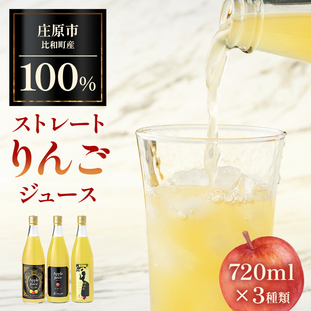【ふるさと納税】白根りんご農園 100% りんごジュース 720ml×3本 SR-2 リンゴ 林檎 果汁 3種飲み比べセット