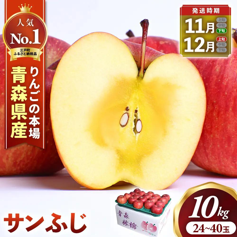 大容量 青森県産りんご 11月下旬～ サンふじ 10kg りんご