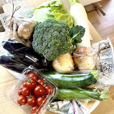 ふるさと納税 あま市 「ノウフク・プロジェクト」野菜詰め合わせ |  | 02
