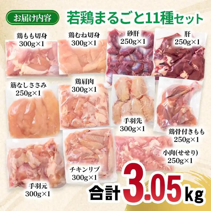 宮崎県産若鶏 11種 合計3.05kgセット 小分け もも肉 むね肉 筋なしささみ 砂肝等々 小分け 11パック＜70-8a＞