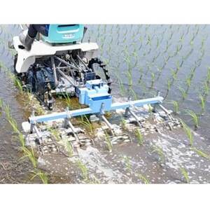 栽培期間中農薬・肥料不使用で作った朝日米　精米5kg_米 朝日米 精米 こめ お米 おこめ コメ 白米 5kg 甘い おいしい ごはん ご飯 おにぎり お弁当 農薬不使用 肥料不使用 産地直送 産直 