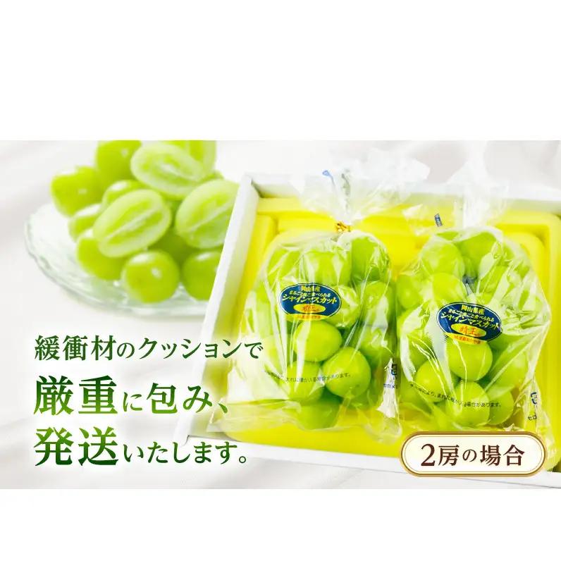 ぶどう 2026年 先行予約【2回定期便】 プレミアムシャインマスカット 晴王 2房 約1.4kg 人気 岡山県船穂産 赤秀品 種無し 皮ごと食べる みずみずしい9月10月お届け ハレノフルーツ