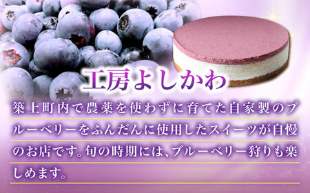 【築上町産ブルーベリー使用】ブルーベリー ヨーグルト ムース ケーキ 1台（18cm）《築上町》【(有)工房よしかわ】 [ABAK002] 国産 ブルーベリー 国産ブルーベリー 使用 ブルーベリーケー