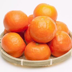 ＜4月より発送＞厳選セミノールオレンジ5kg+150g（傷み補償分）◇【春みかん】【有田産】【光センサー食べ頃出荷】 ※北海道・沖縄・離島への配送不可 ※2025年4月上旬～5月下旬頃に順次発送予定