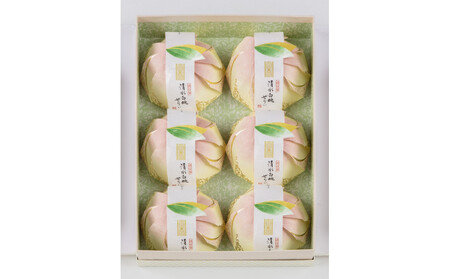 〈宗家 源吉兆庵〉清水白桃ぜりぃ6個入〈高島屋選定品〉