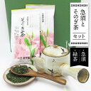 【ふるさと納税】急須とそのぎ茶セット (急須×1・緑茶 100g×2) 茶 お茶 緑茶 日本茶 茶葉 東彼杵町/常明窯 [BCX003]