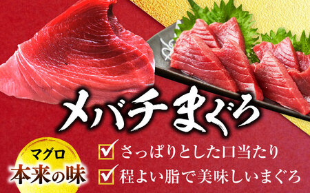天然 まぐろ 中トロ メバチ 計約1.8kg (8柵入り) 【横須賀商工会議所 おもてなしギフト事務局（本まぐろ直売所 横須賀本店）】[AKAK096]