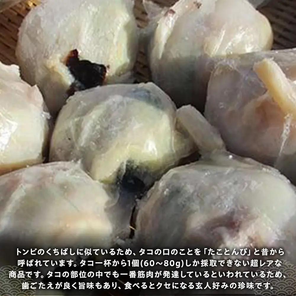通もうなる。たことんび｜羅臼　たこ