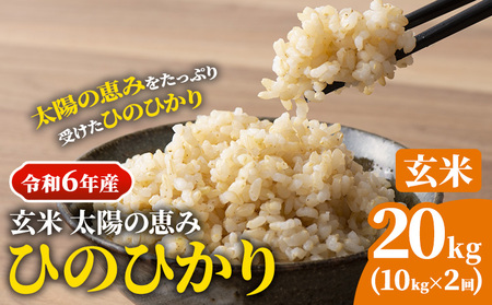 【令和6年産 予約受付】玄米 岡山県産 ひのひかり 笠岡産 20kg(10kg×2回)《10月下旬-9月下旬頃出荷》農事組合法人奥山営農組合 太陽の恵み