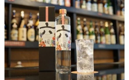 道後ジン 六媛 500ml（ 道後 酒 フルーツ 酒 アルコール ジン トニック 果物 酒 ワイン のようなお酒 酒 愛媛県 松山市 ）【MG049_x】