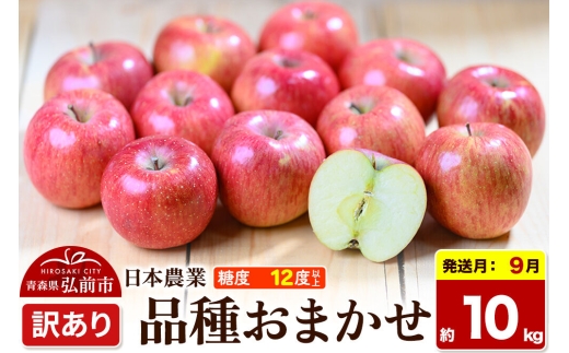 【26年9月クール便発送】りんご 品種おまかせ【訳あり】約10kg 平均糖度12度以上 青森県 弘前市 果物 フルーツ 林檎 リンゴ くだもの 不揃い 規格外 [先行予約 クール便 家庭用 産地直送 アップル 青森県 弘前市]