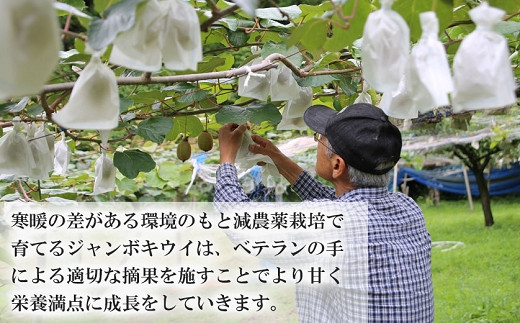 入念な摘果と袋掛けを心掛けています。