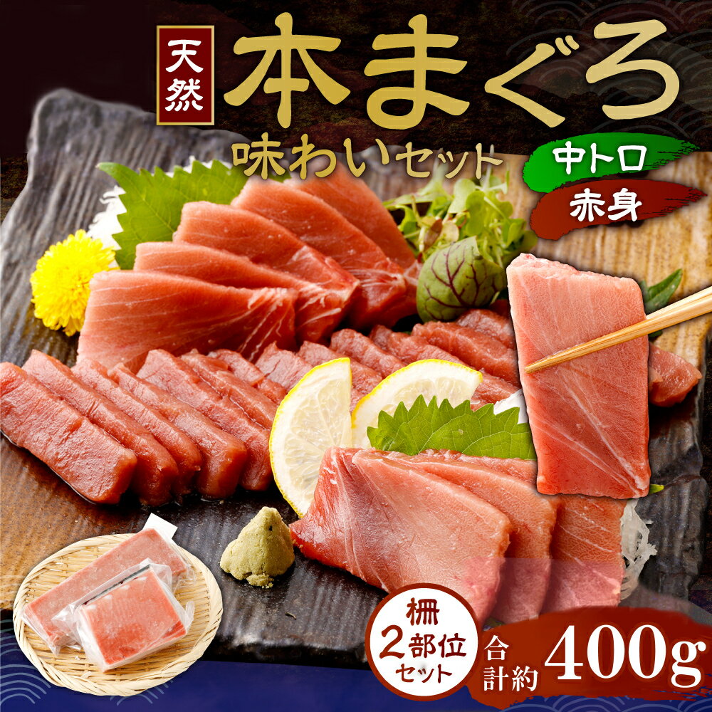 【ふるさと納税】 まぐろの王様！ 天然本まぐろ 味わいセット 400g サク 柵 スライス 切落し セット 天然 天然まぐろ 天然マグロ まぐろ 中トロ 赤身 鮪 刺身 お刺身 食べ比べ 高知 室戸 冷凍 小分け 便利 tk074