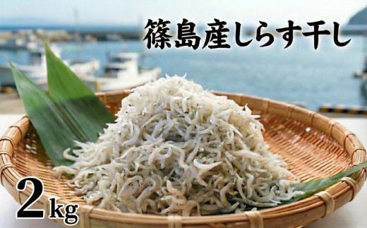 【特別寄附額】【スピード発送】＜篠島産＞ 訳あり しらす干し2kg シラス 南知多産 愛知